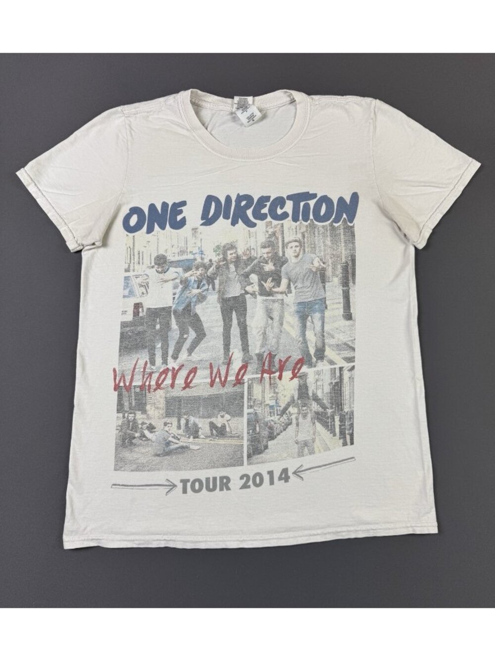 Rare Vintage Y2K One Direction Where We Are Tour Concert Promo Music Art Photo
